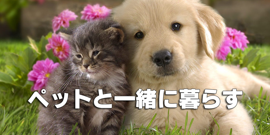 癒しのペット可物件特集